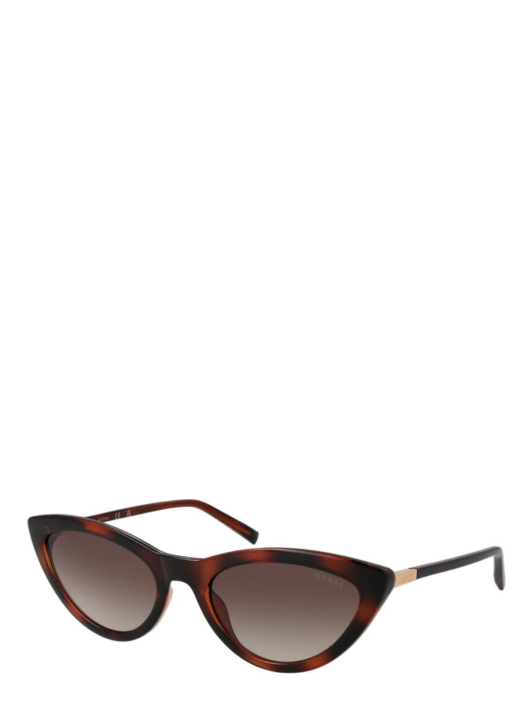 Brown Plastic Sunglasses