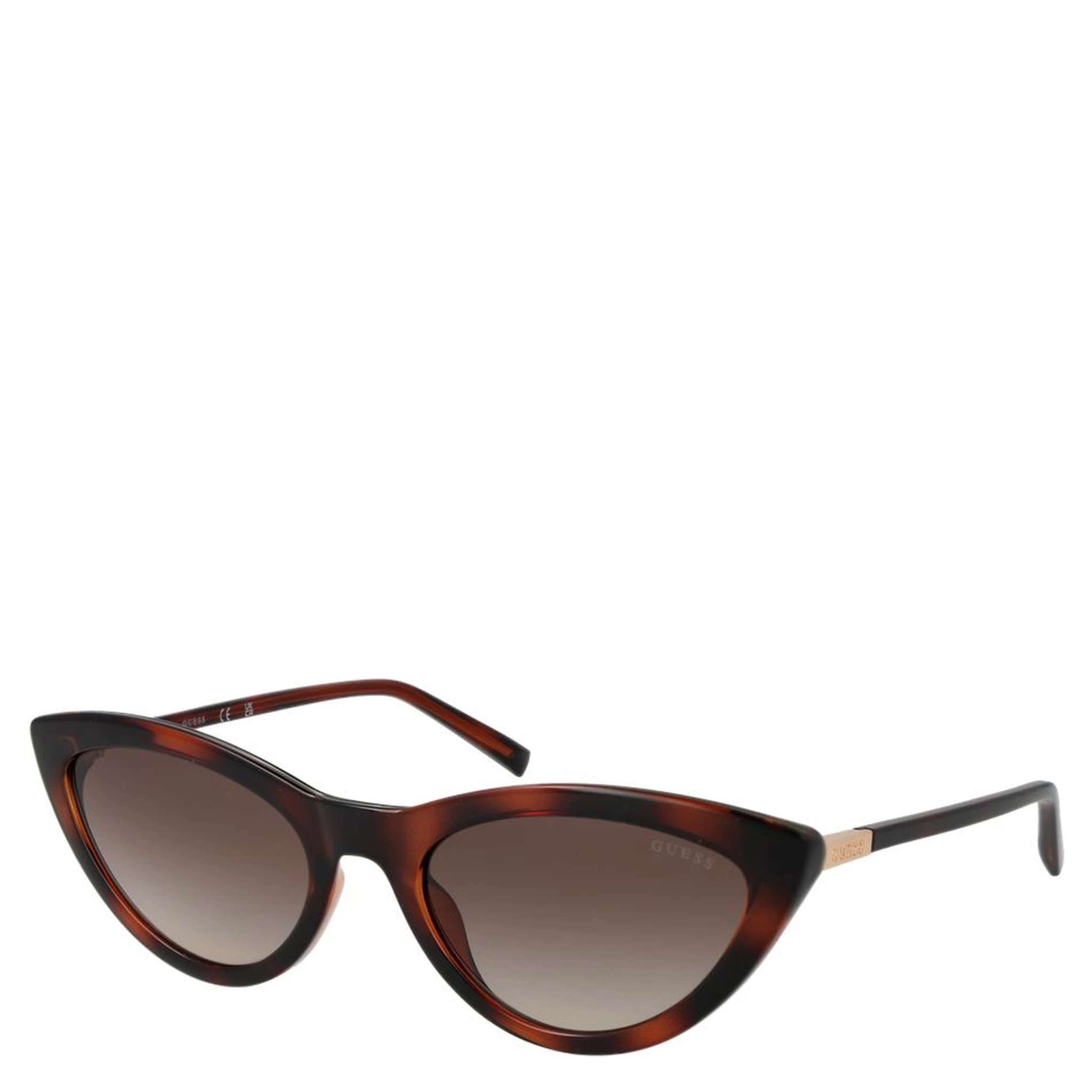 Brown Plastic Sunglasses