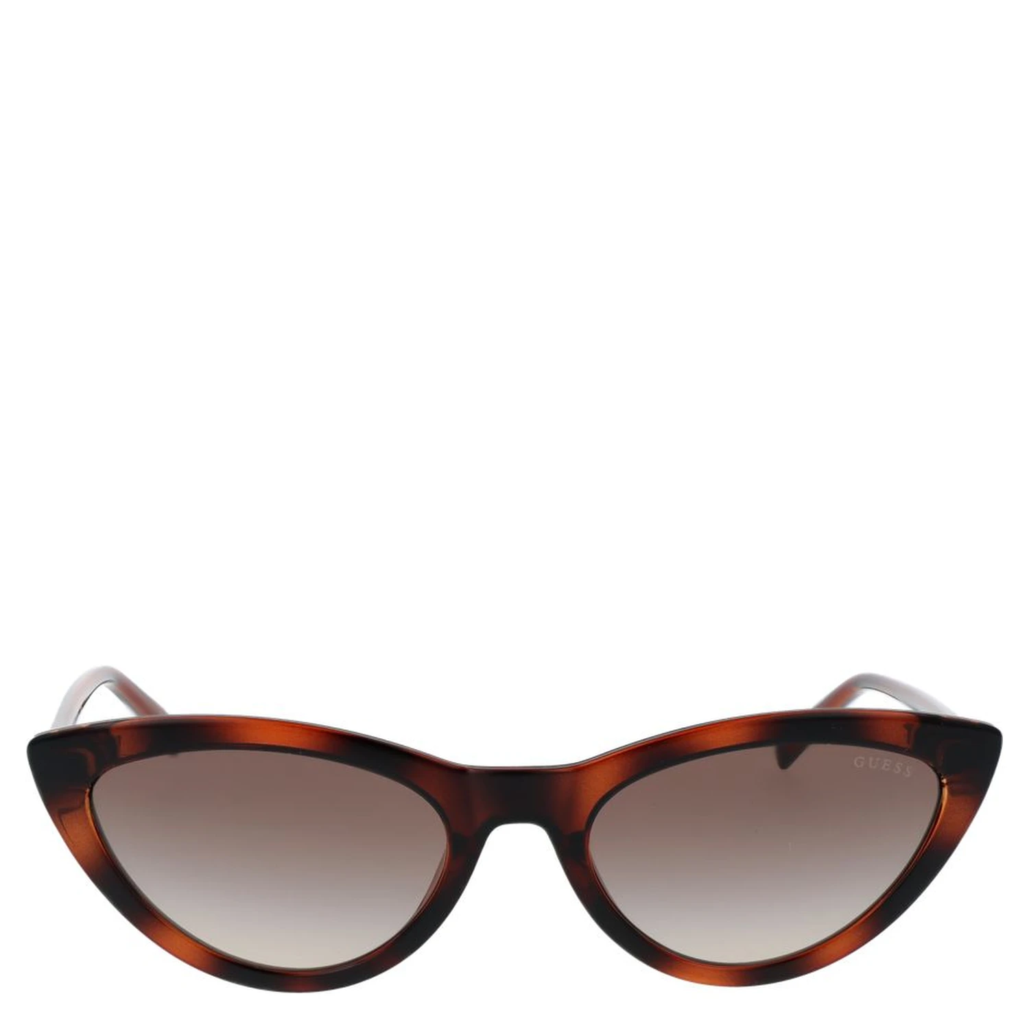 Brown Plastic Sunglasses
