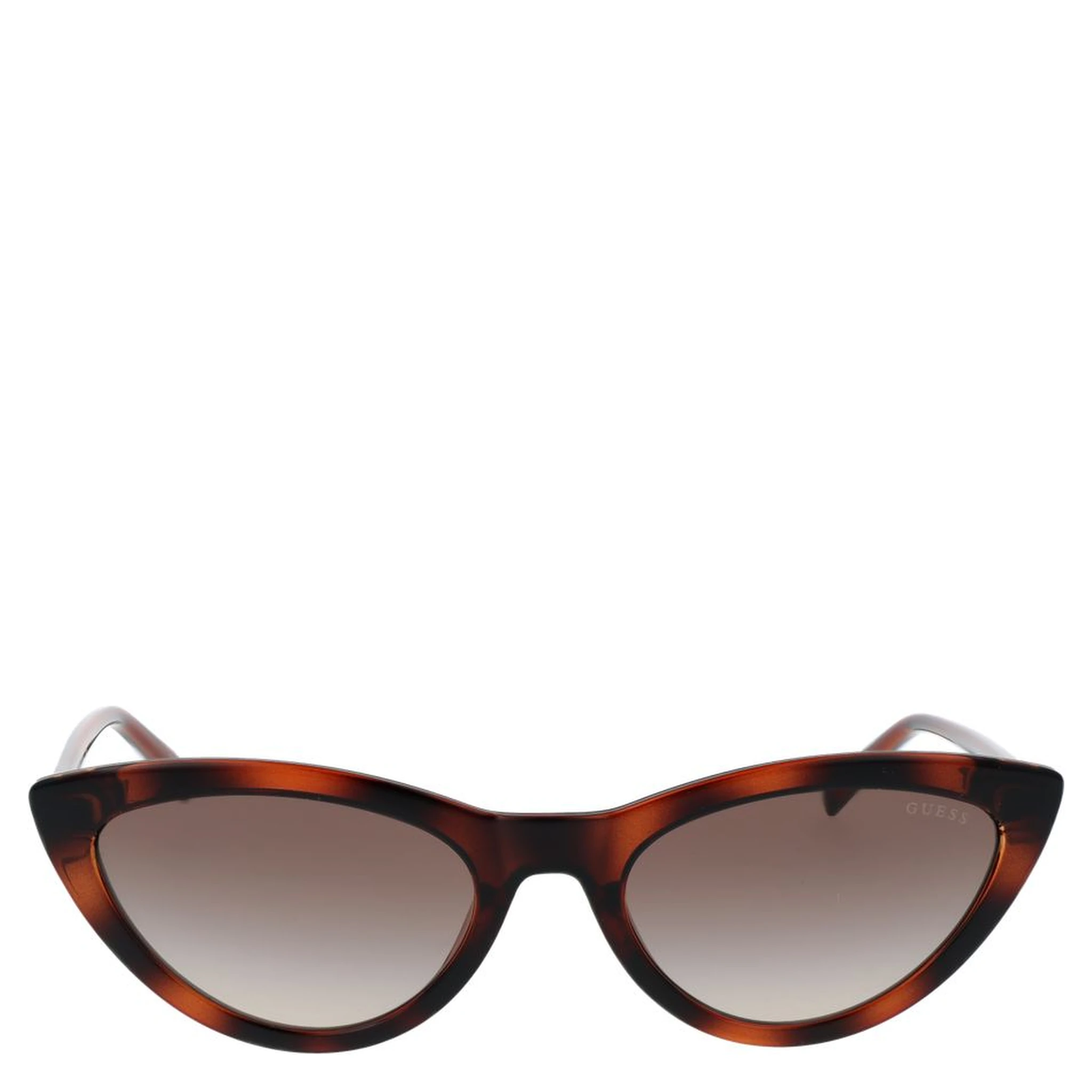 Brown Plastic Sunglasses
