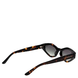 Brown Acetate Sunglasses