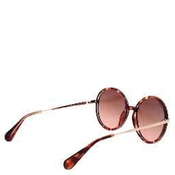 Brown Plastic Sunglasses