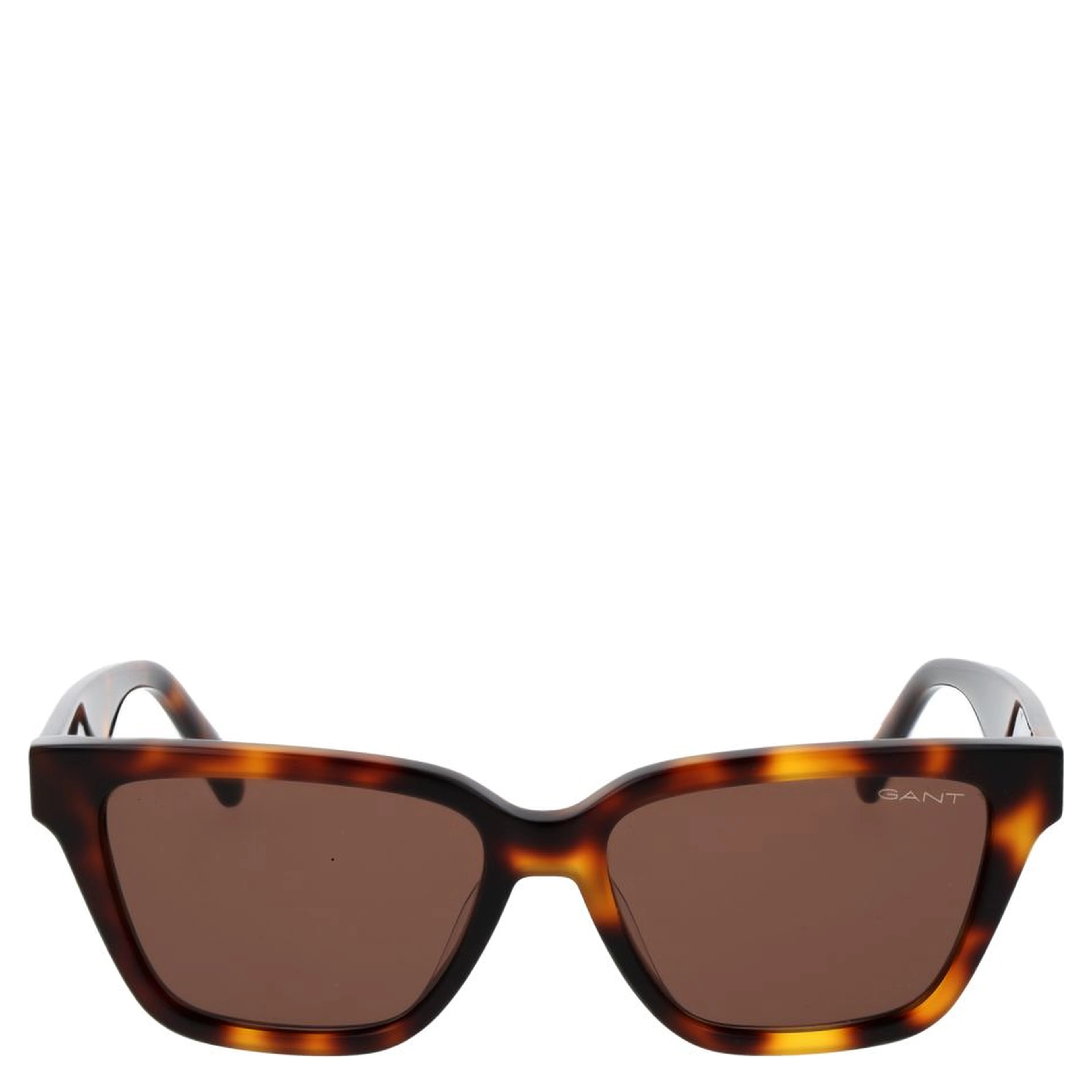 Brown Acetate Sunglasses