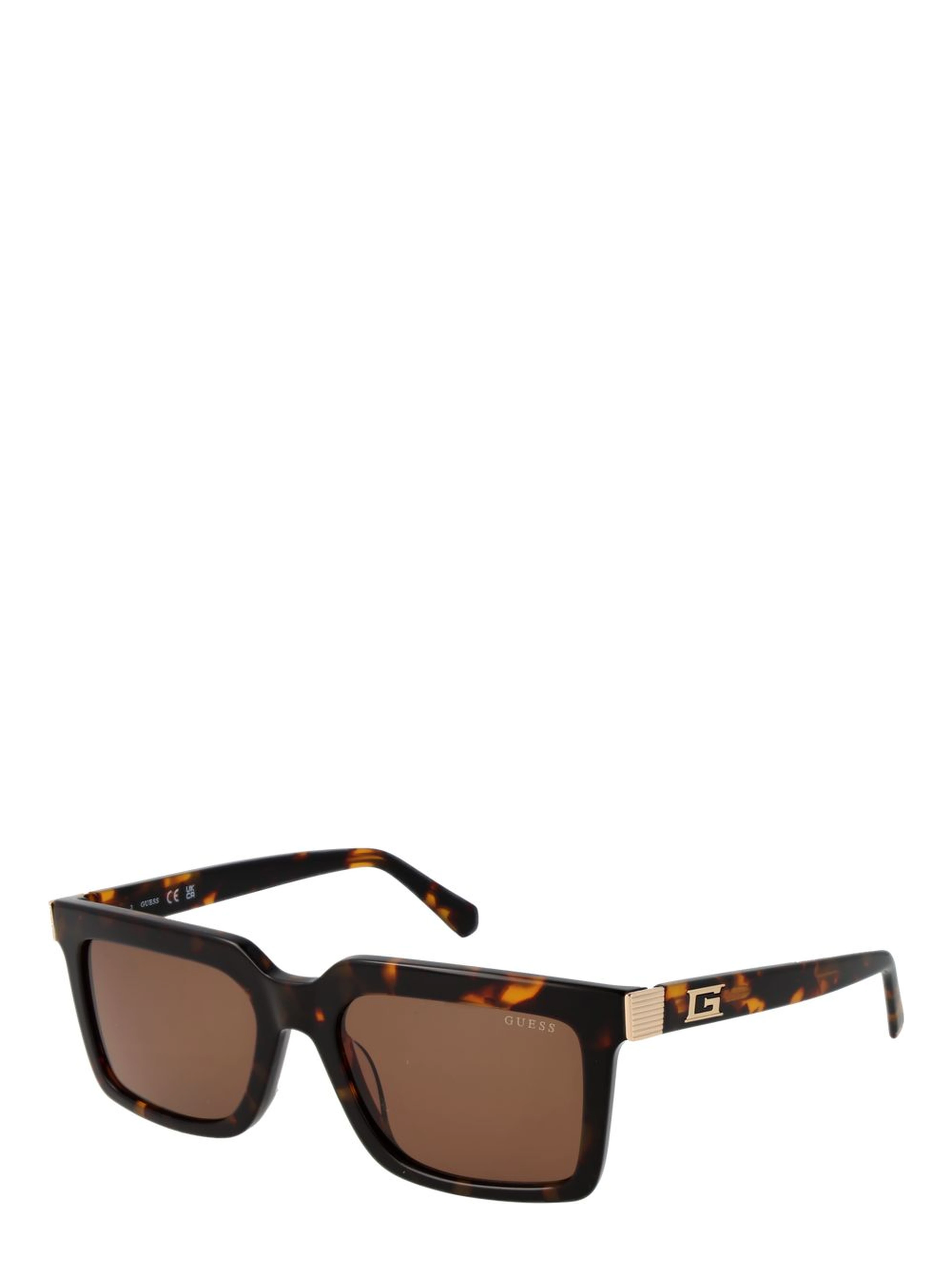 Brown Acetate Sunglasses