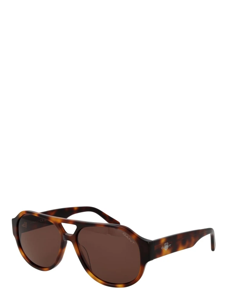 Brown Acetate Sunglasses