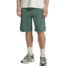 EA7 Shorts Green