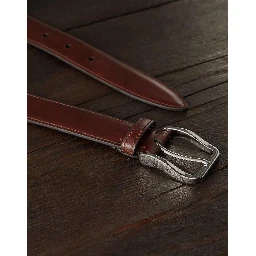 Brown Leather Regular Belt