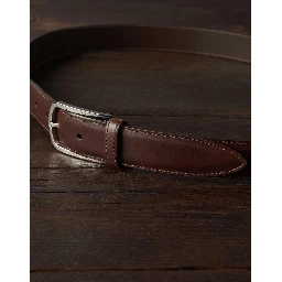 Brown Leather Regular Belt