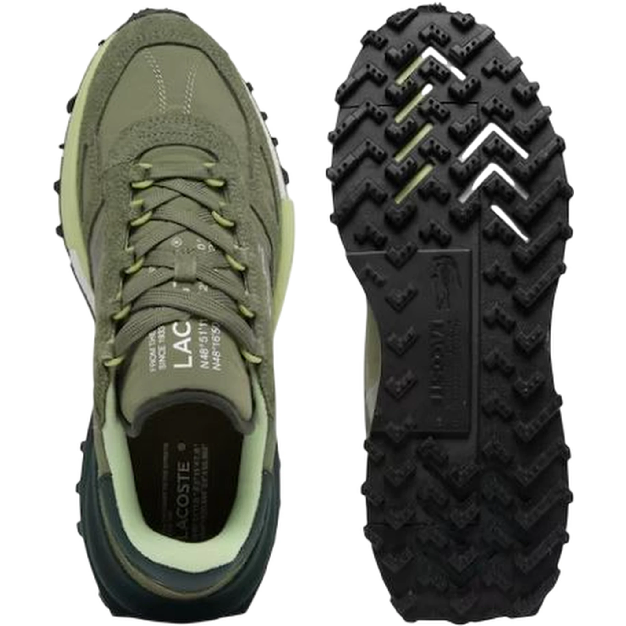 Lacoste Sneakers Green