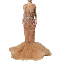 Brown Crystal Embellished Mermaid Gown Dress