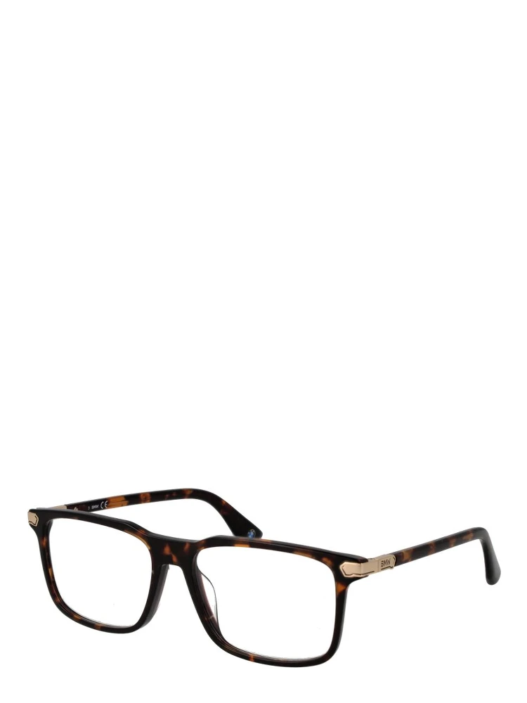 Brown Acetate Glasses (Frames)