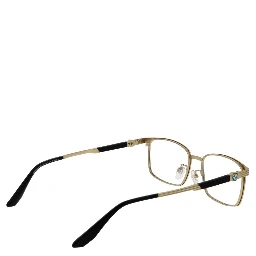Gold Titanium Glasses (Frames)
