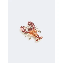 WEEKEND MAX MARA WKAVAMPATA brooch