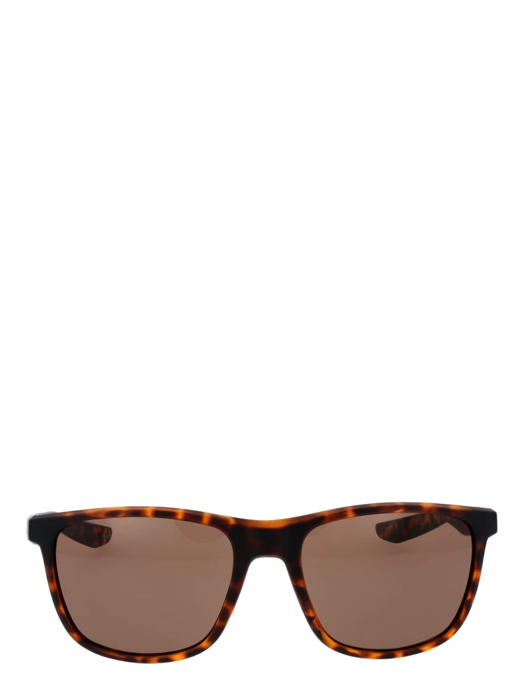 Brown Plastic Sunglasses alternative