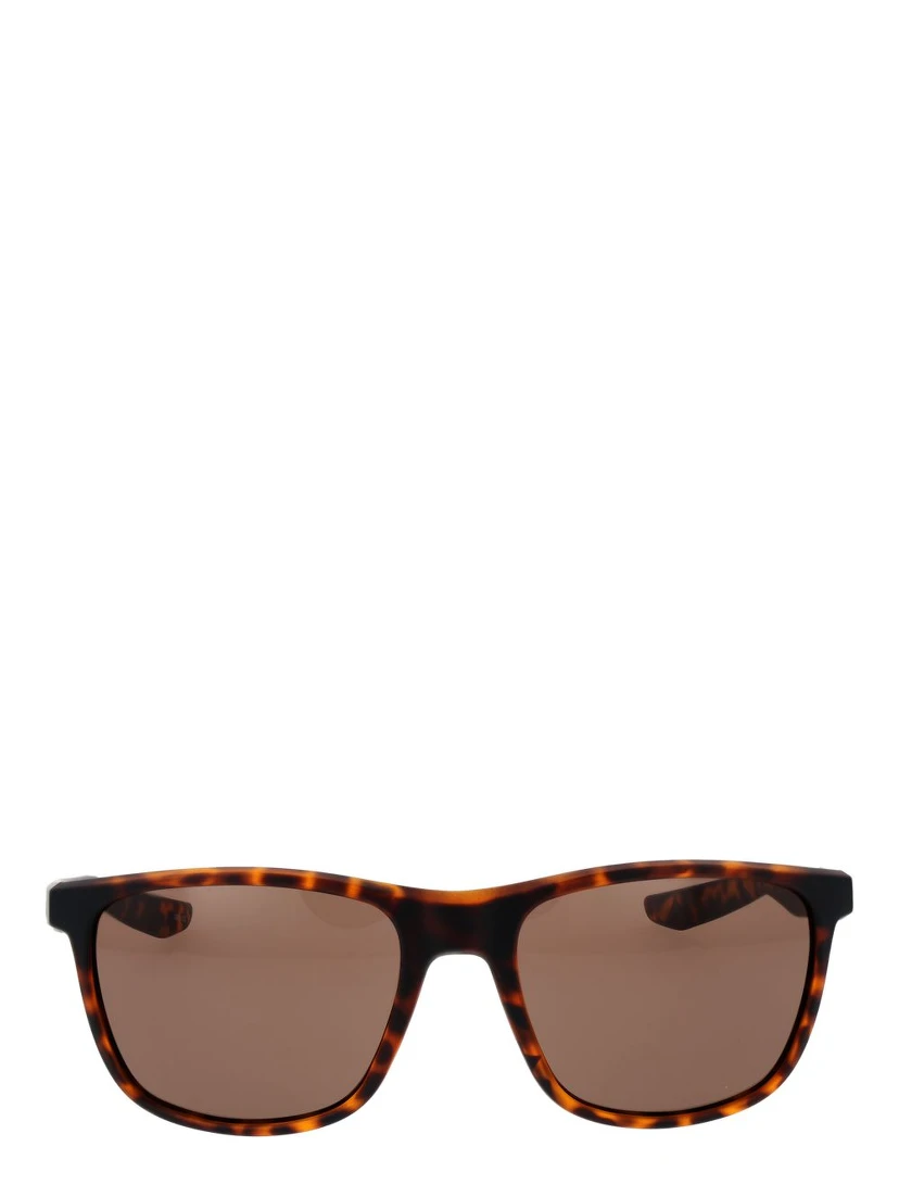 Brown Plastic Sunglasses