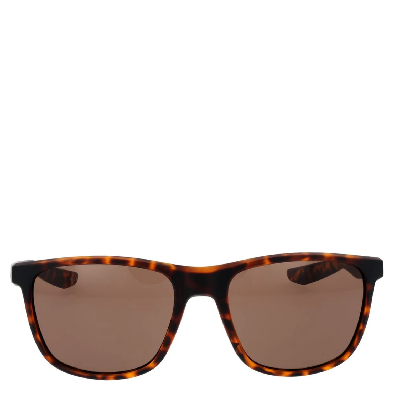 Brown Plastic Sunglasses