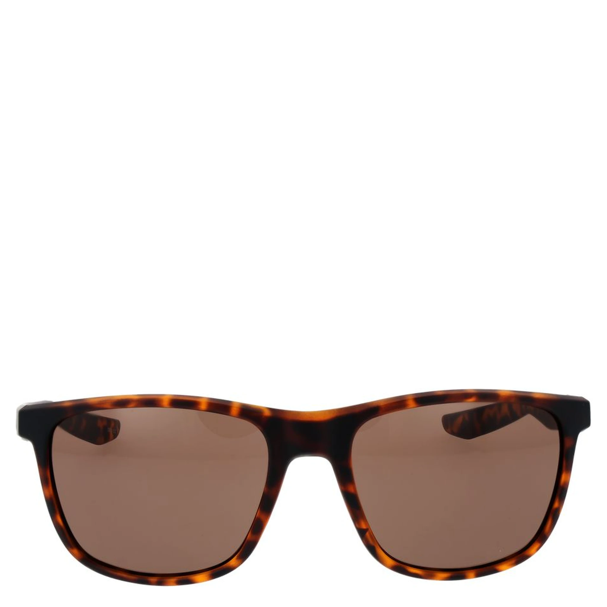 Brown Plastic Sunglasses