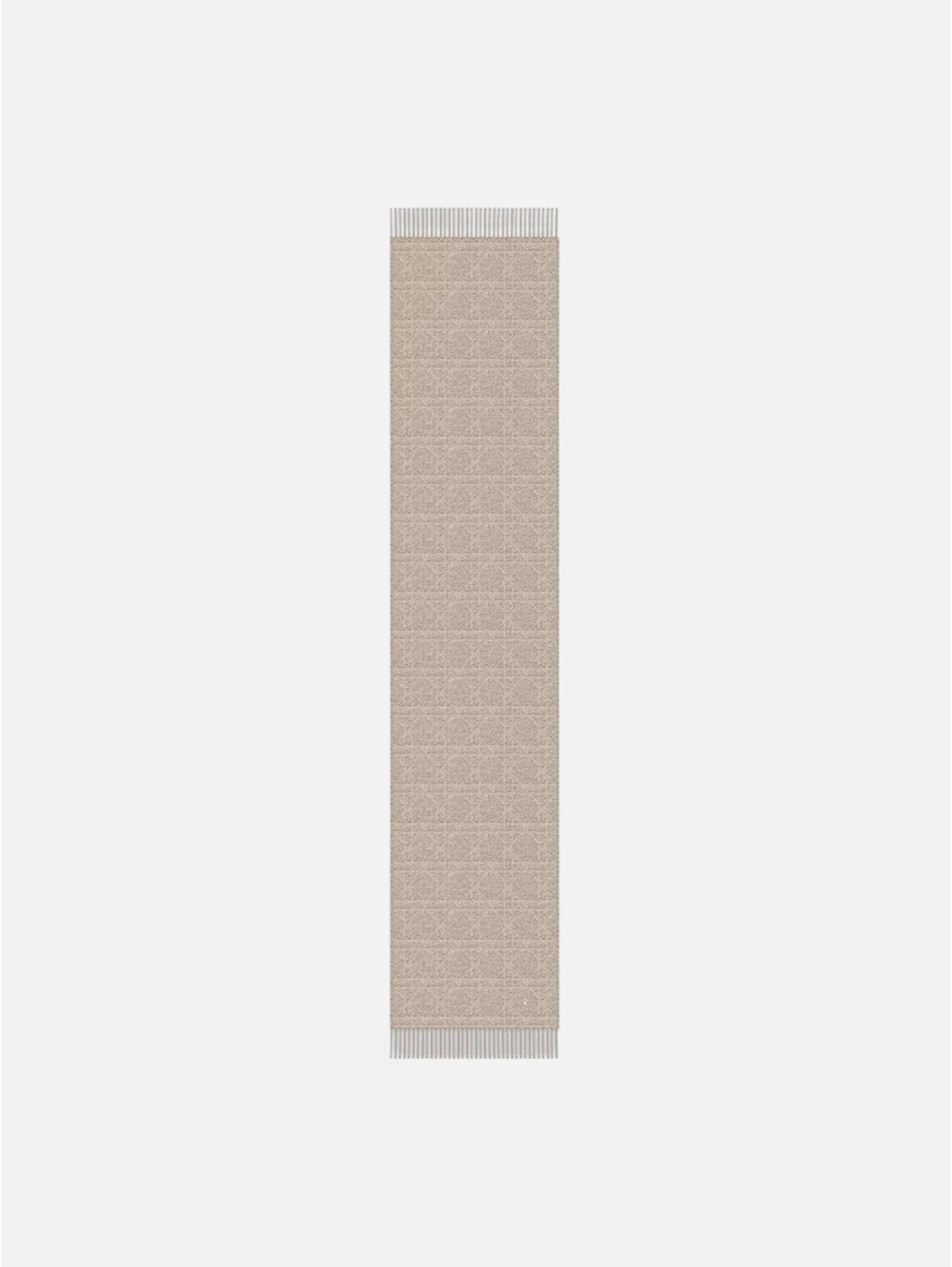 CHRISTIAN DIOR scarf