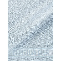 CHRISTIAN DIOR scarf