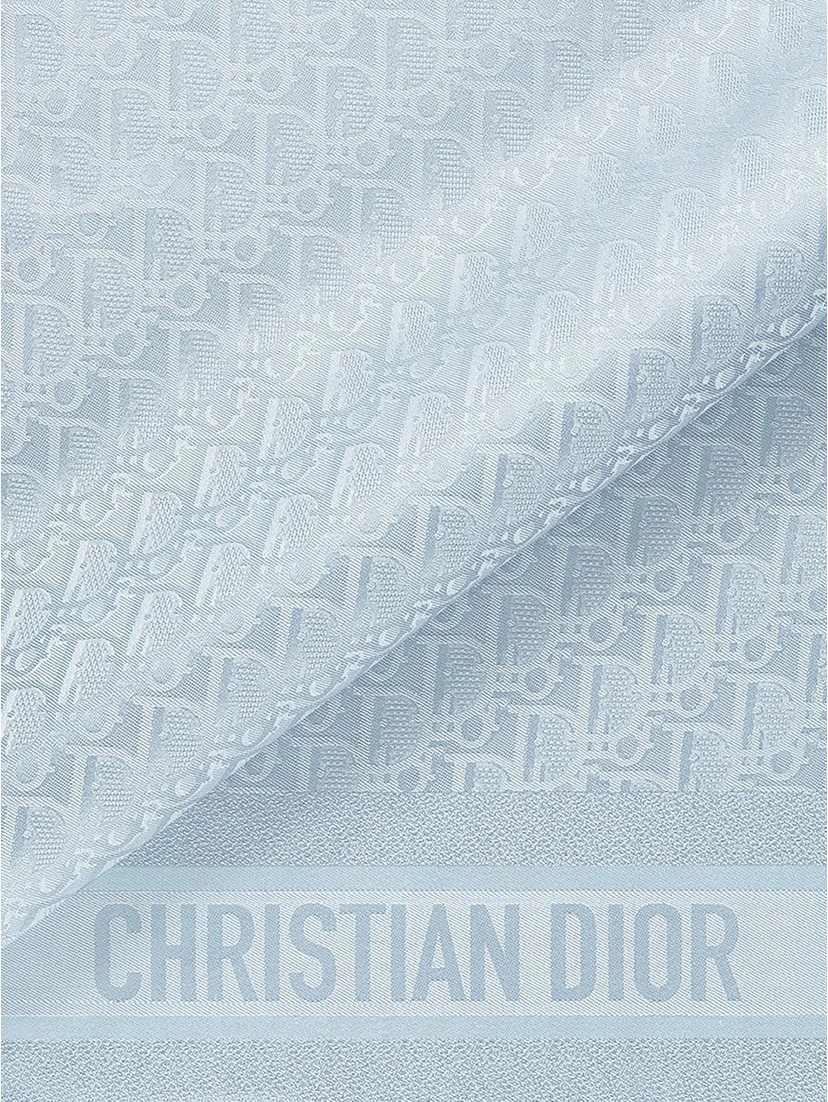 CHRISTIAN DIOR scarf