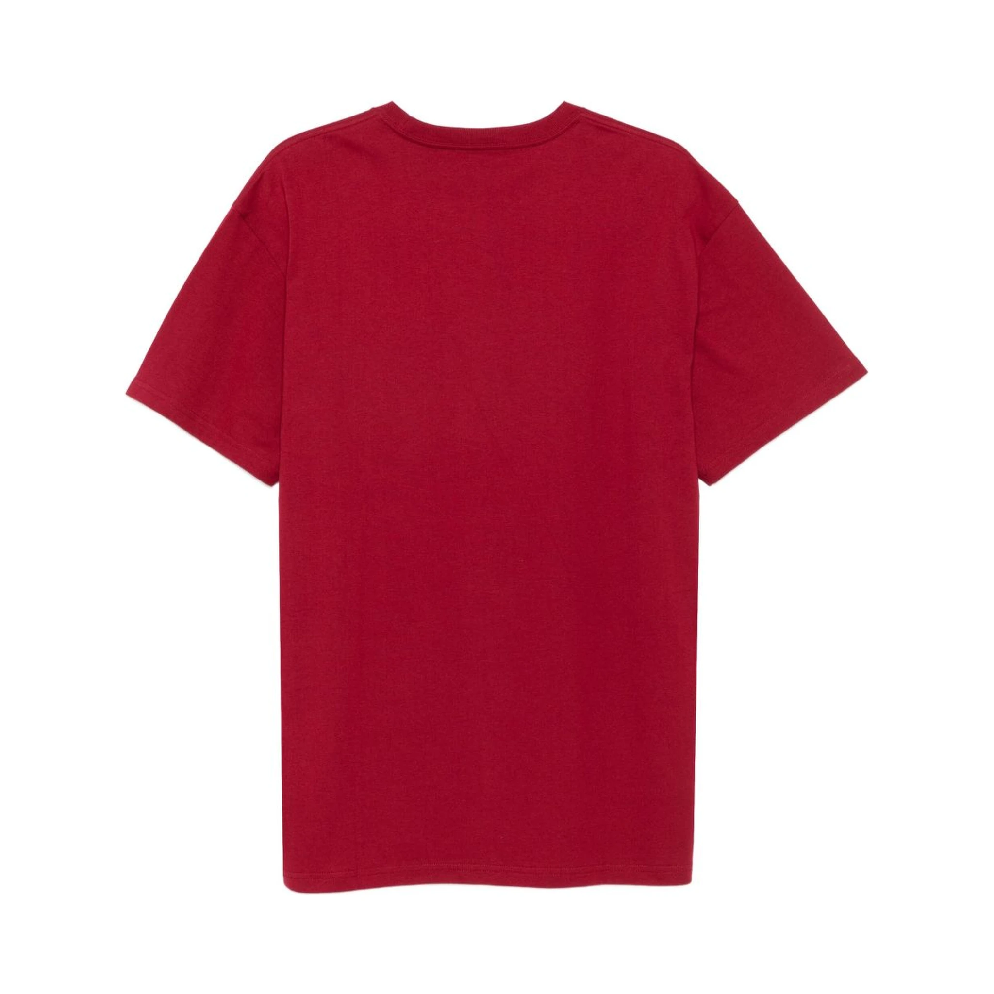 Carhartt WIP T-shirts and Polos