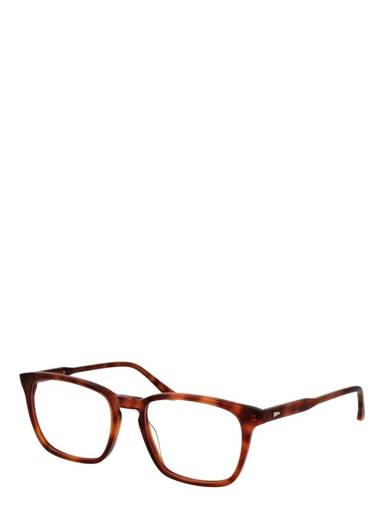 Brown Acetate Glasses (Frames)
