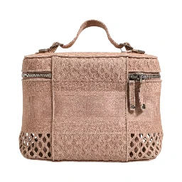 Mesh Embroidered Dior travel Vanity Case