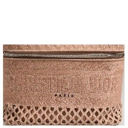 Mesh Embroidered Dior travel Vanity Case