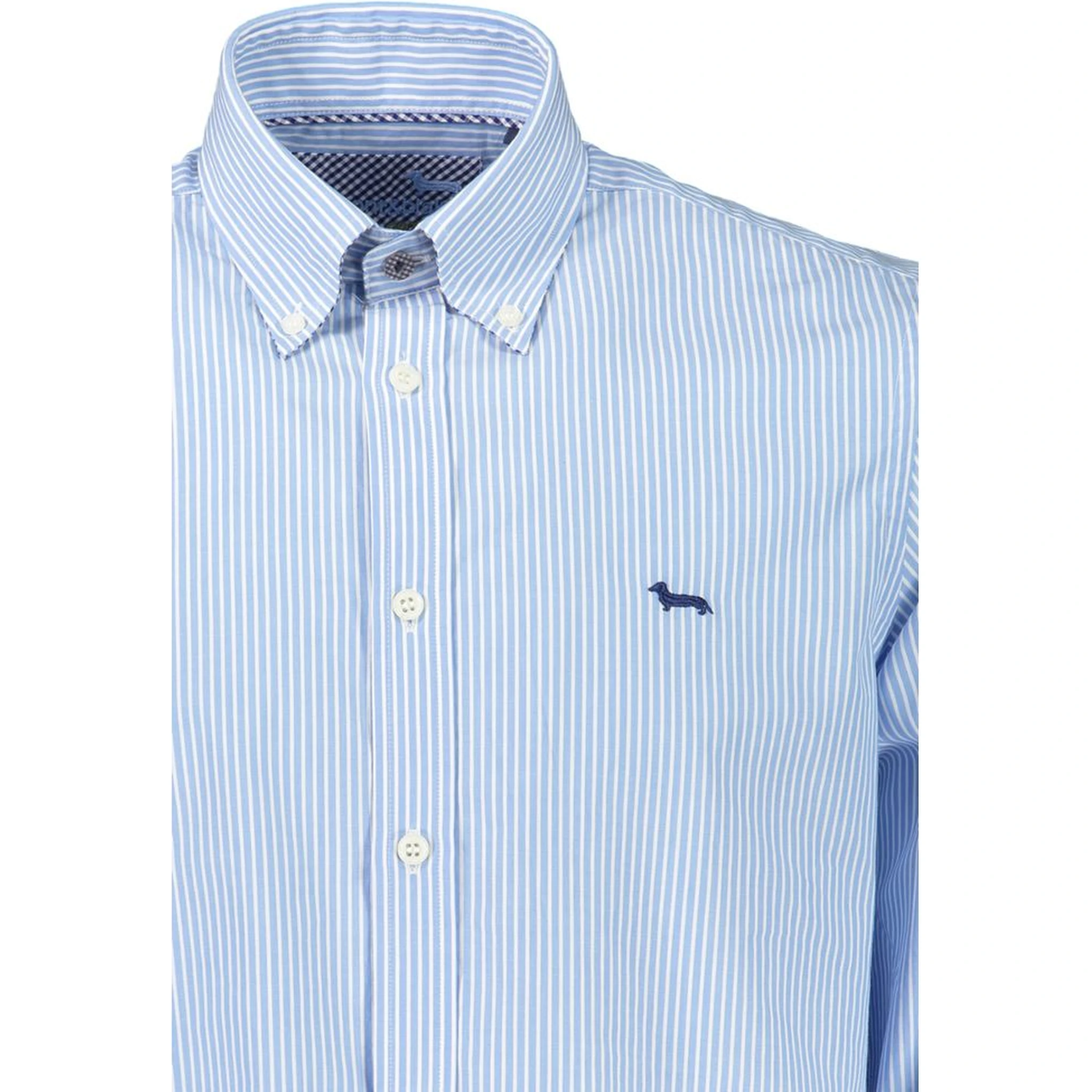 Azzurro Cotton Men's Shirt
