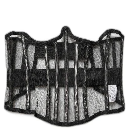 Black Sheer Tulle Bodysuit Cropped Corset Top