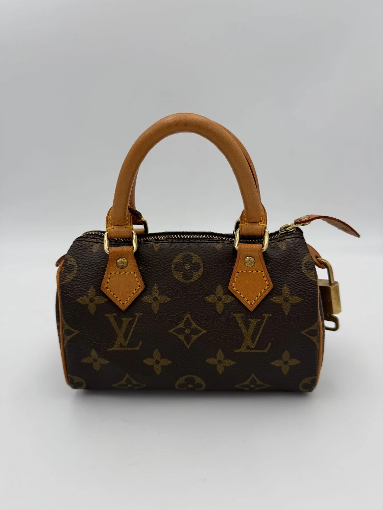 LOUIS VUITTON Nano Speedy Monogram Handbag alternative