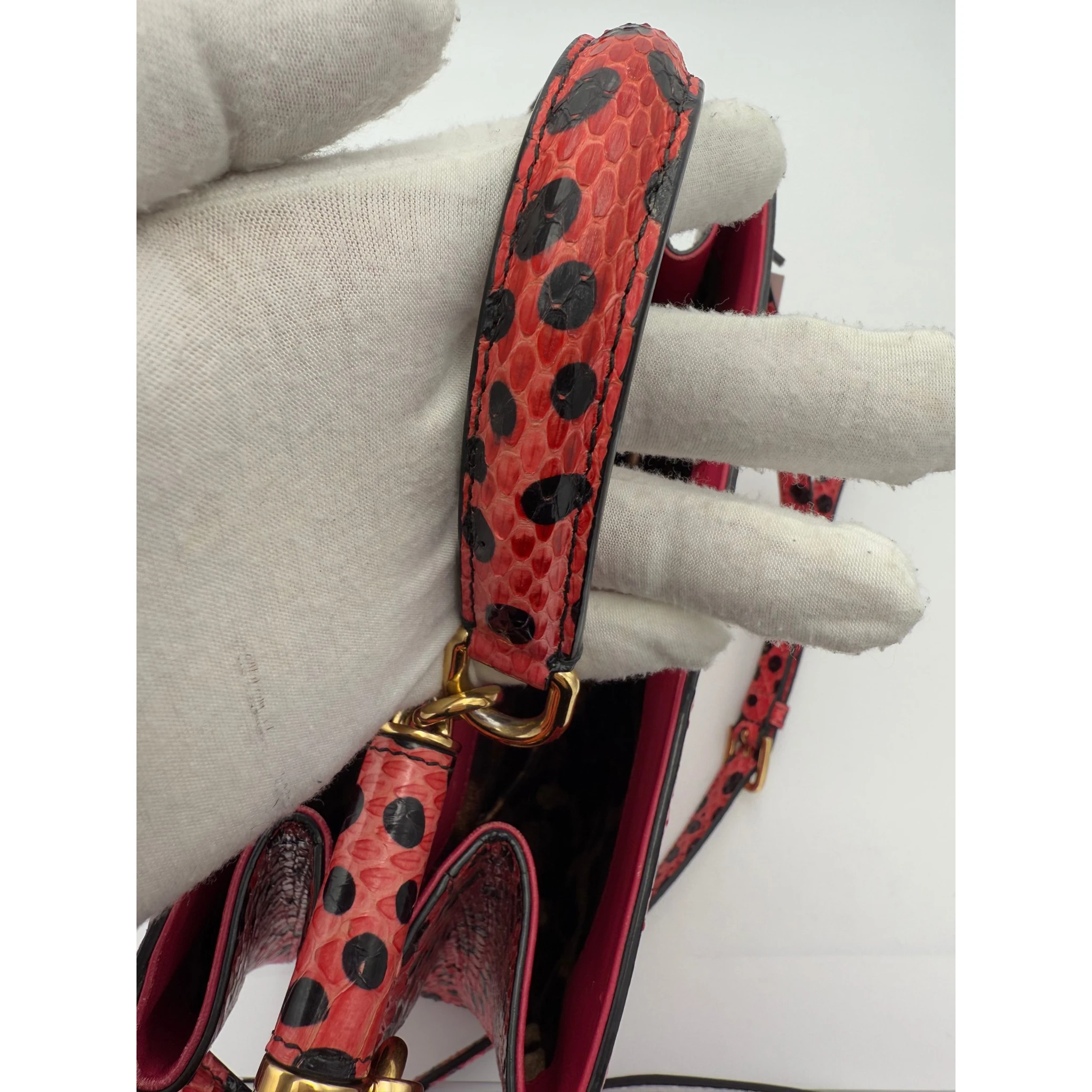 DOLCE & GABBANA SICILY in Reptile Skin Handbag