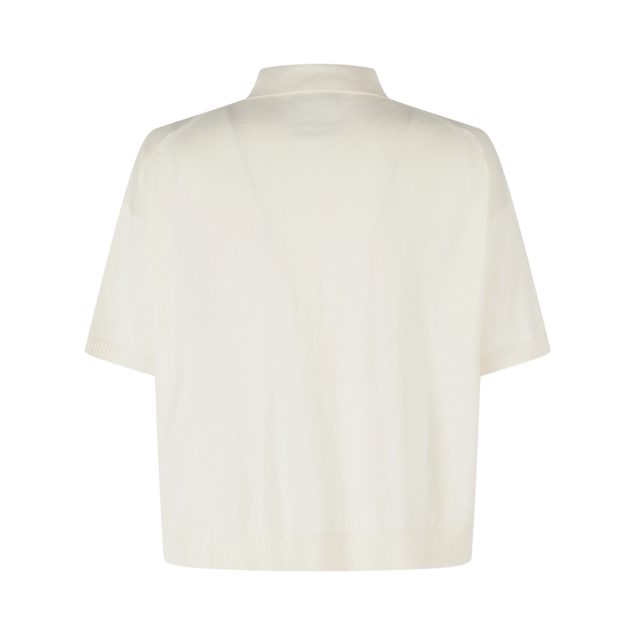 POLO AMBRE