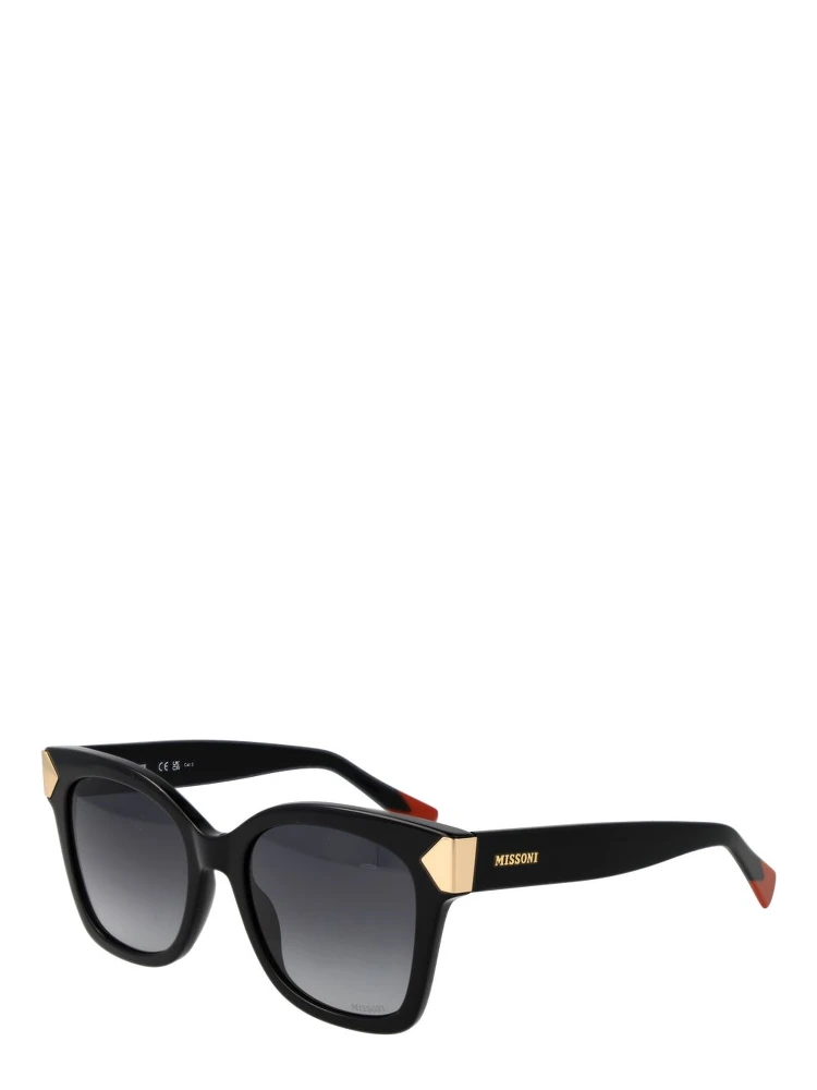 Black Acetate Sunglasses
