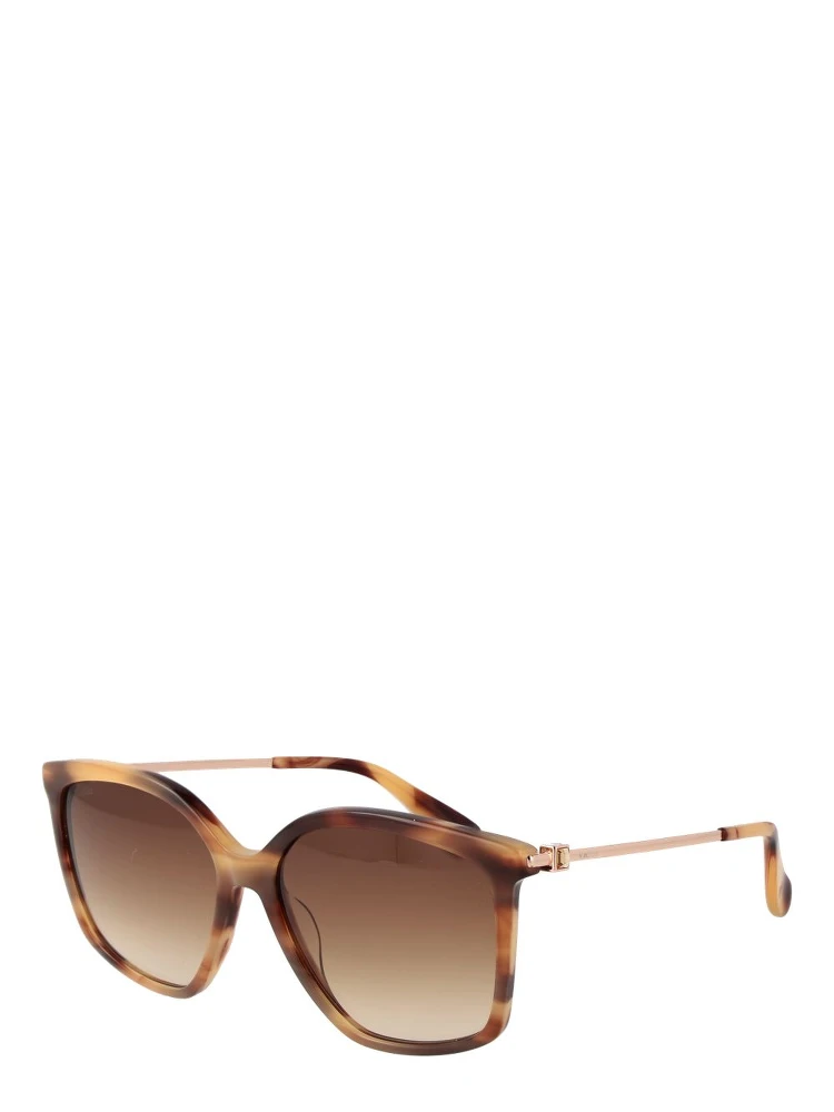 Brown Acetate Sunglasses