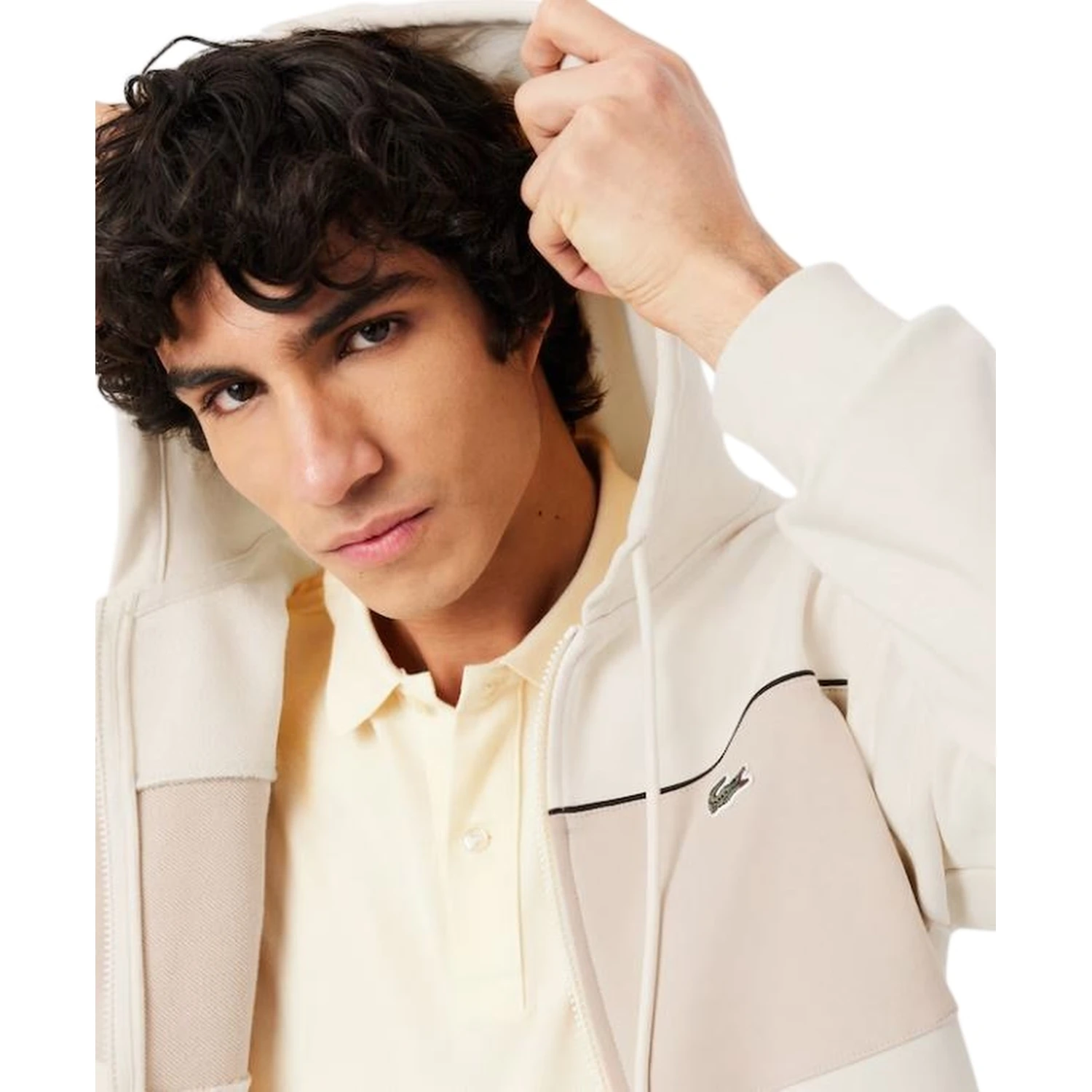 Lacoste Sweaters Cream