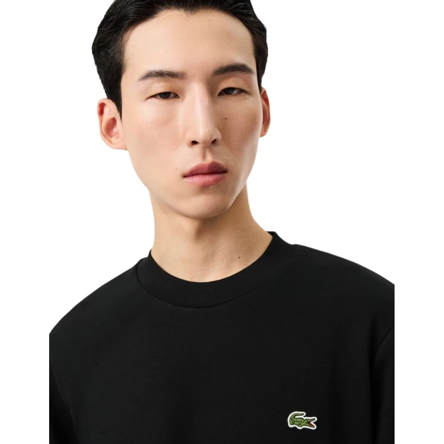 Lacoste Sweaters Black
