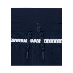 Lacoste Shorts Blue