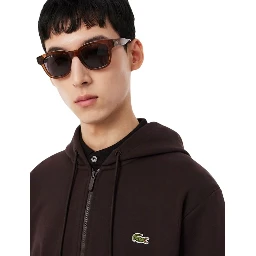 Lacoste Sweaters Brown