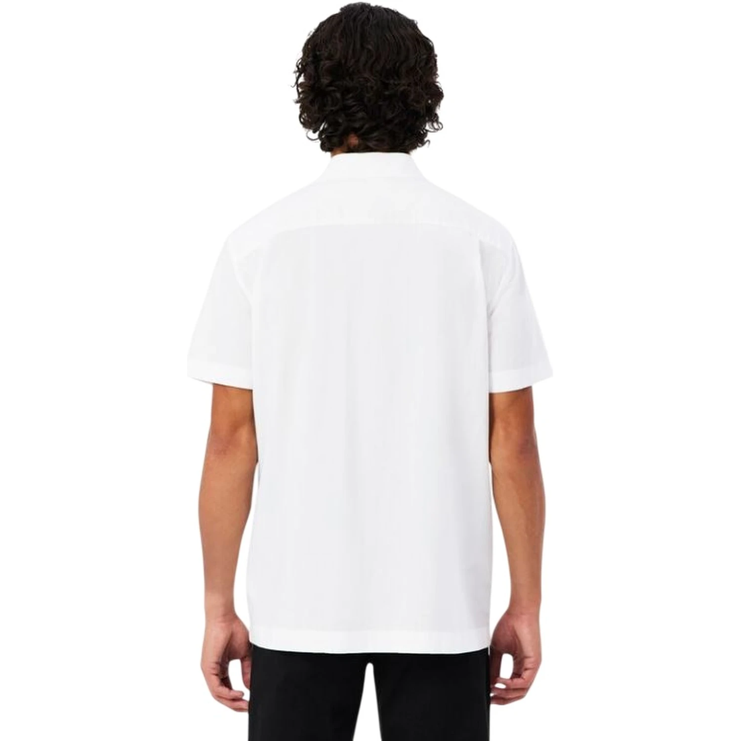 Lacoste Shirts White