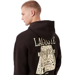 Lacoste Sweaters Brown