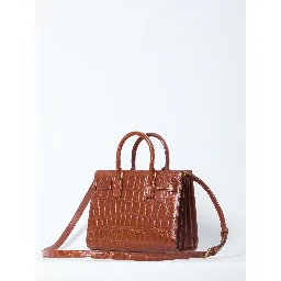Sac De Jour nano crocodile bag