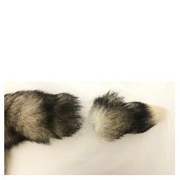 Brown Fox Tail Fur Shawl Neck Wrap Cover Collar Scarf
