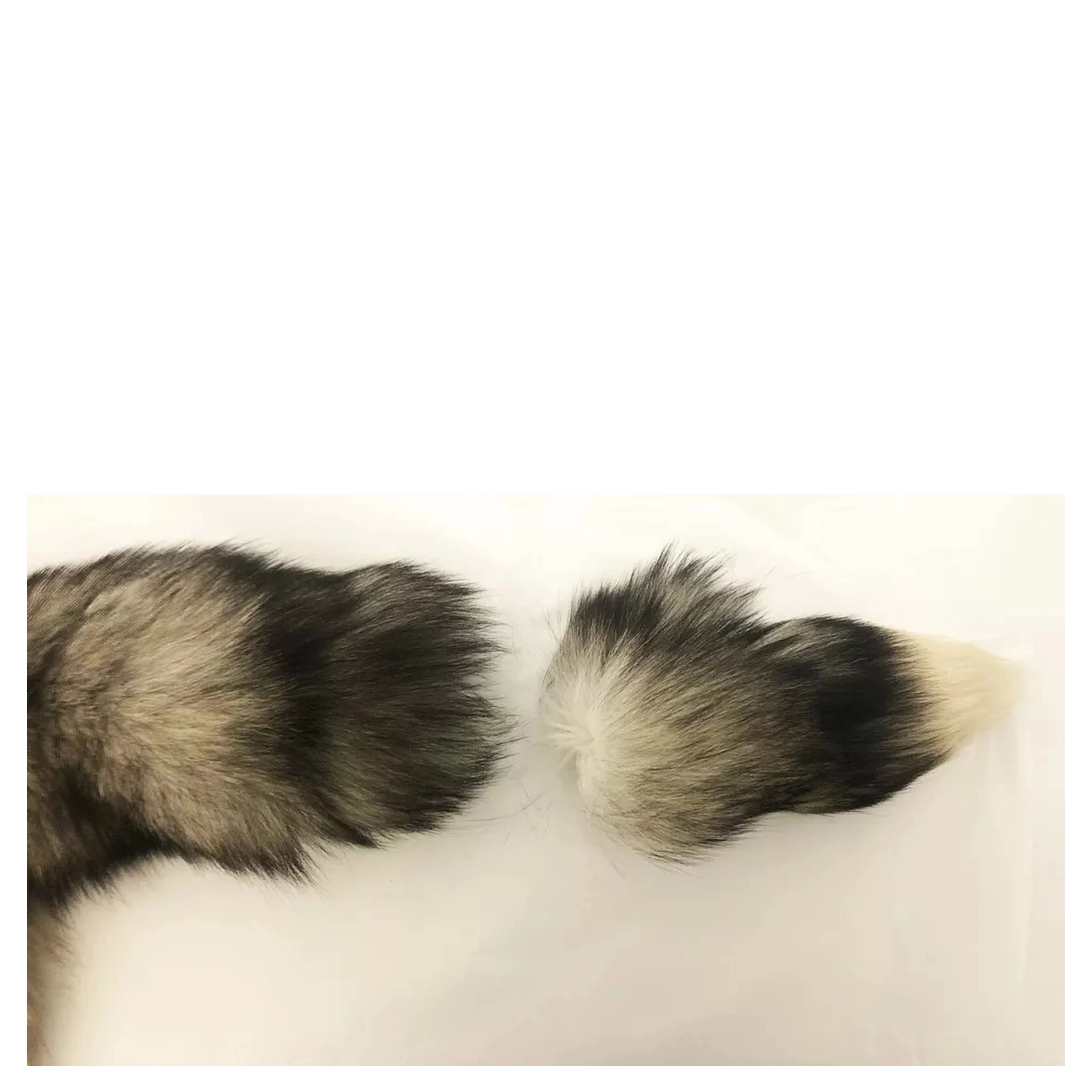 Brown Fox Tail Fur Shawl Neck Wrap Cover Collar Scarf