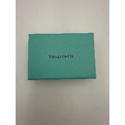 TIFFANY & CO. Silver Bracelet with Double Chain