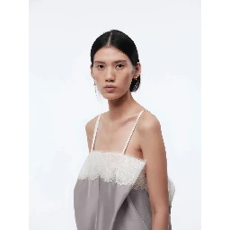 CARVEN cannon