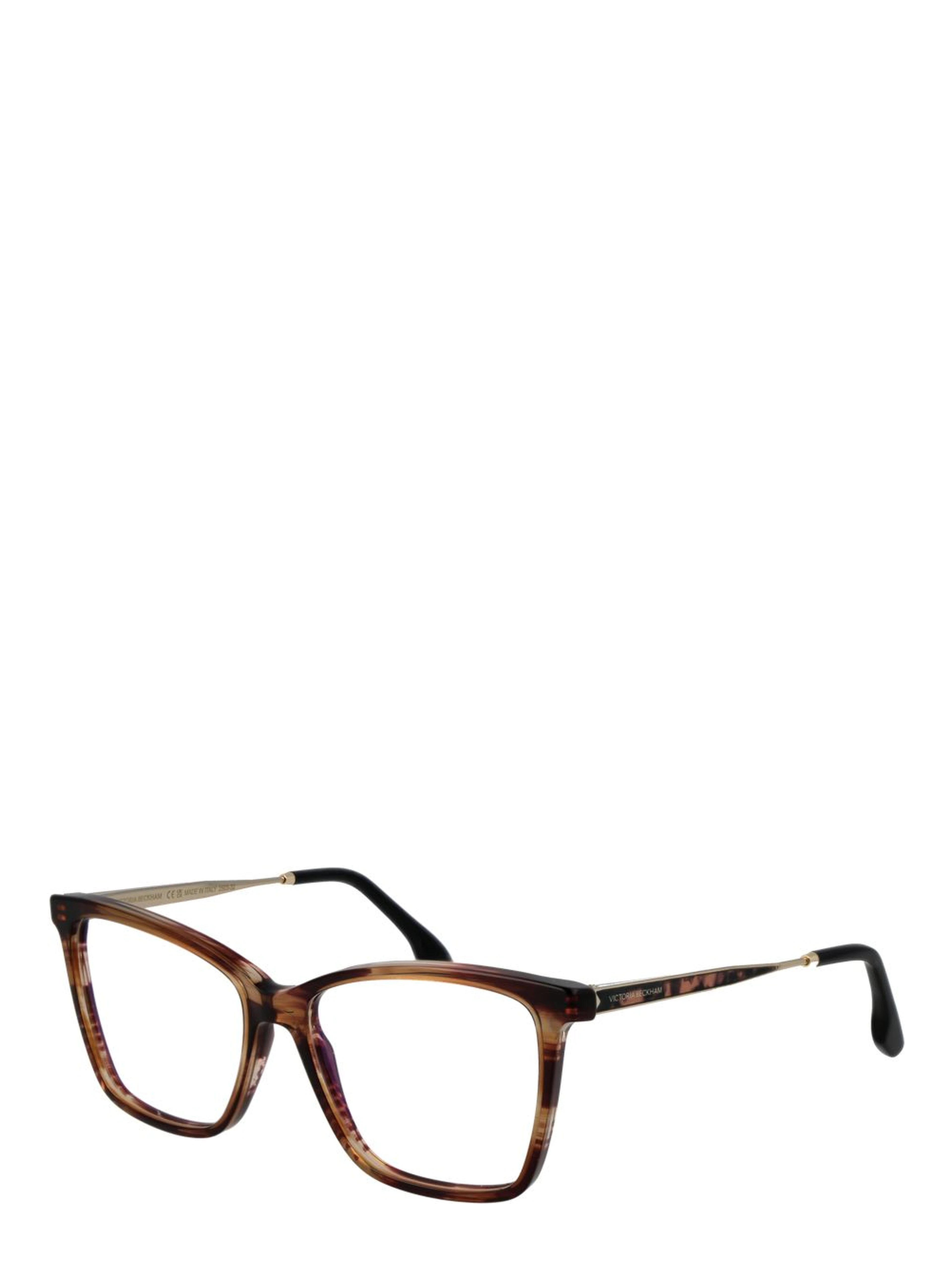 Brown Metal & Plastic Glasses (Frames)