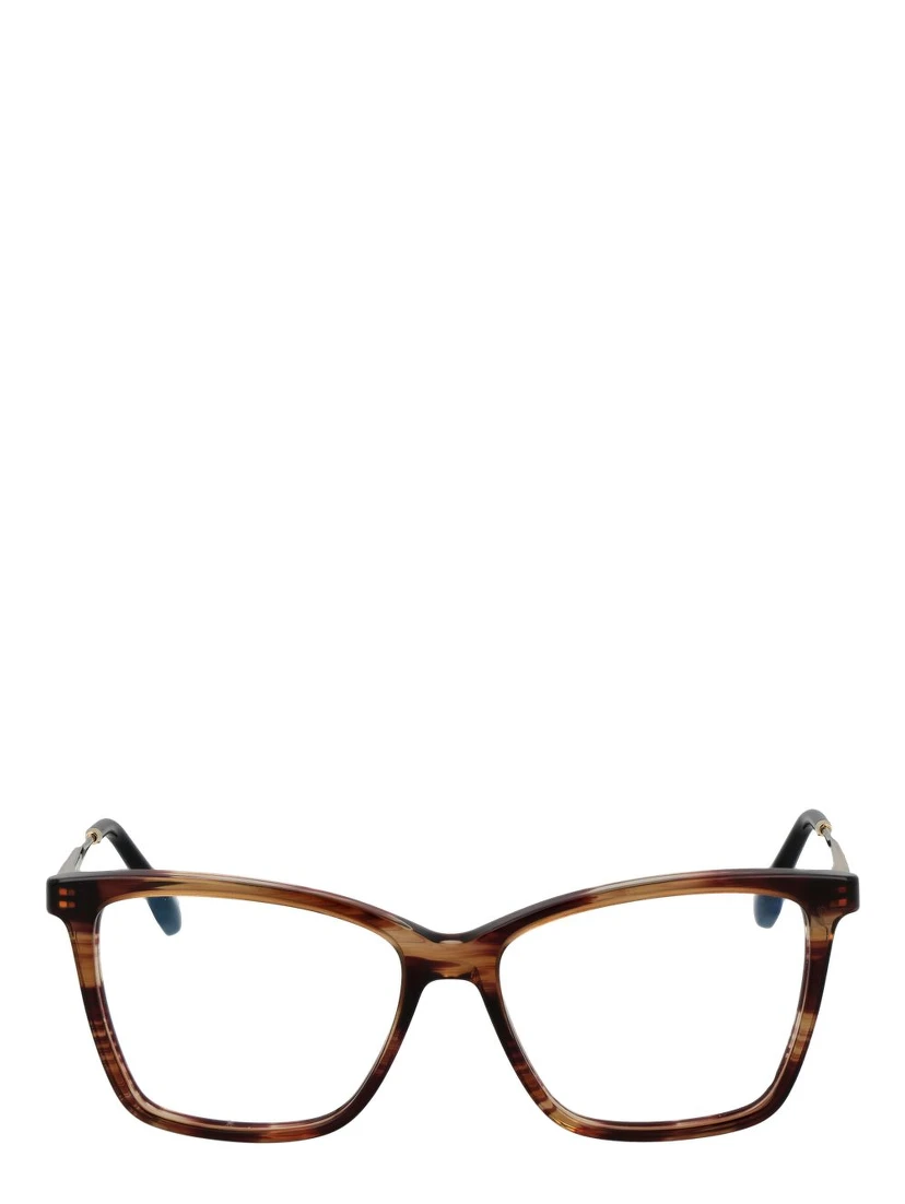 Brown Metal & Plastic Glasses (Frames)