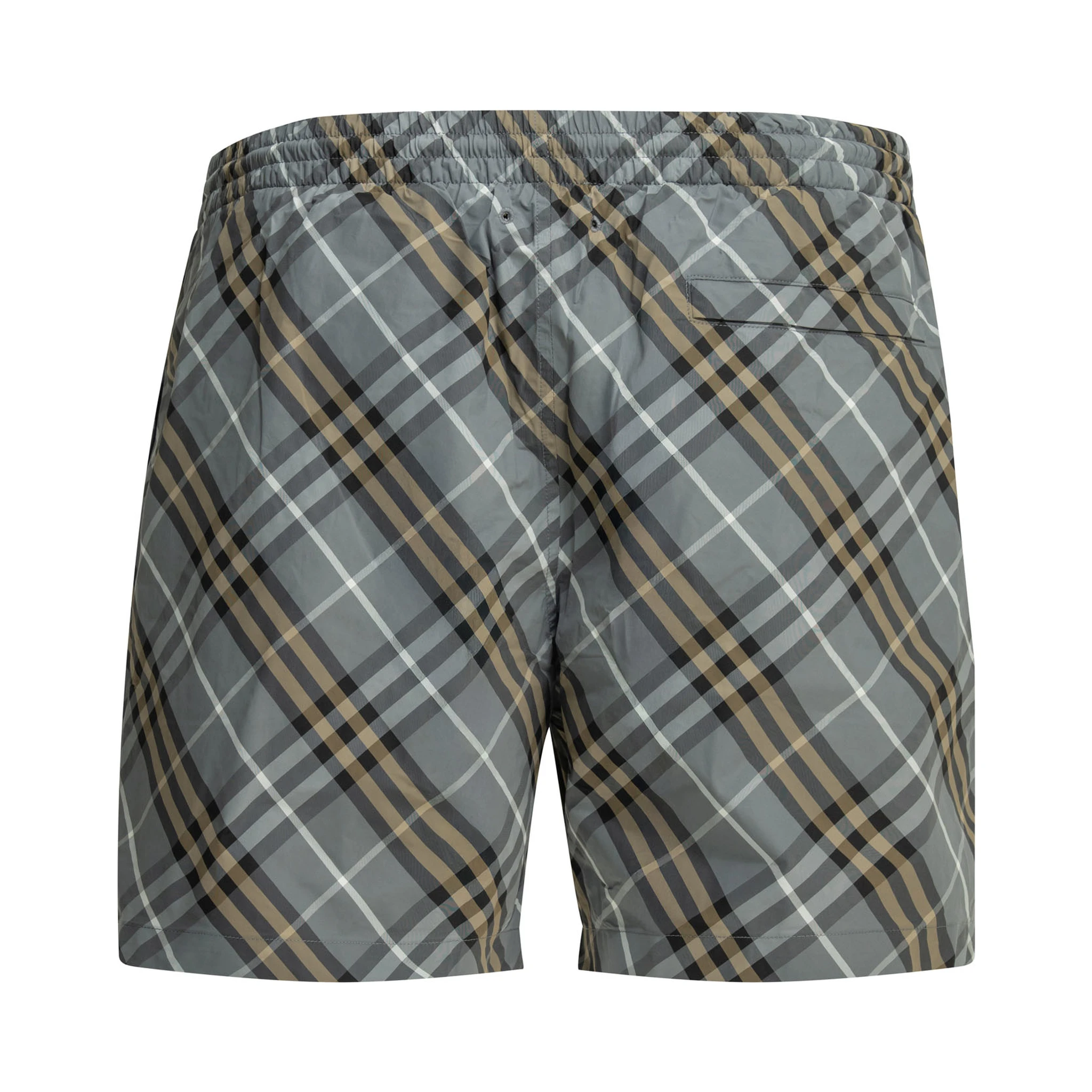 Swimwear shorts Check