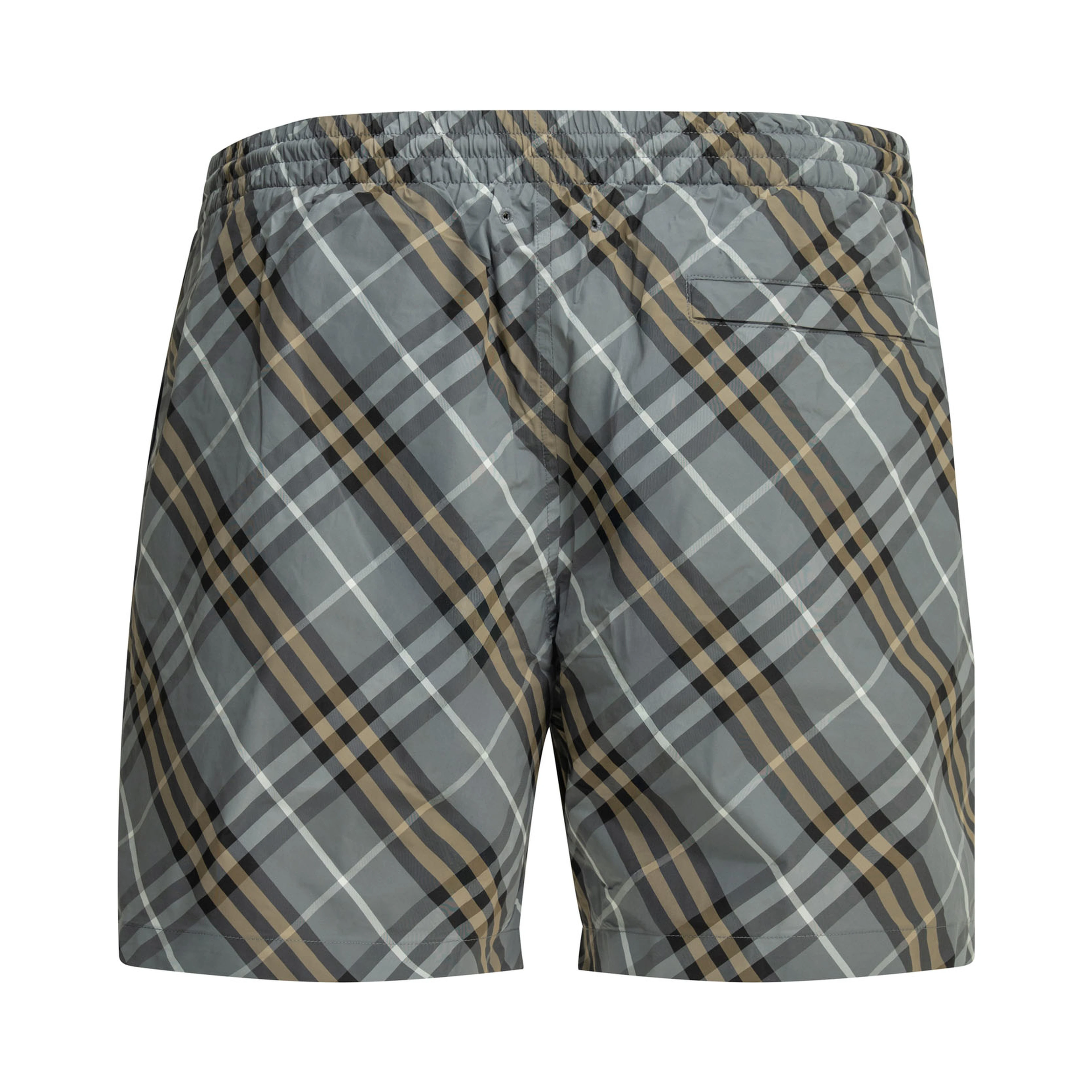 Swimwear shorts Check